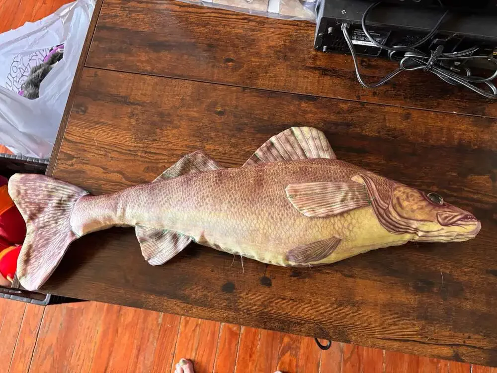 Unknown walleye fish